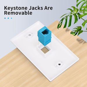 Removable RJ45 keystone coupler on one-port wall plate