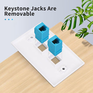 Removable RJ45 keystone couplers on two-port wall plate