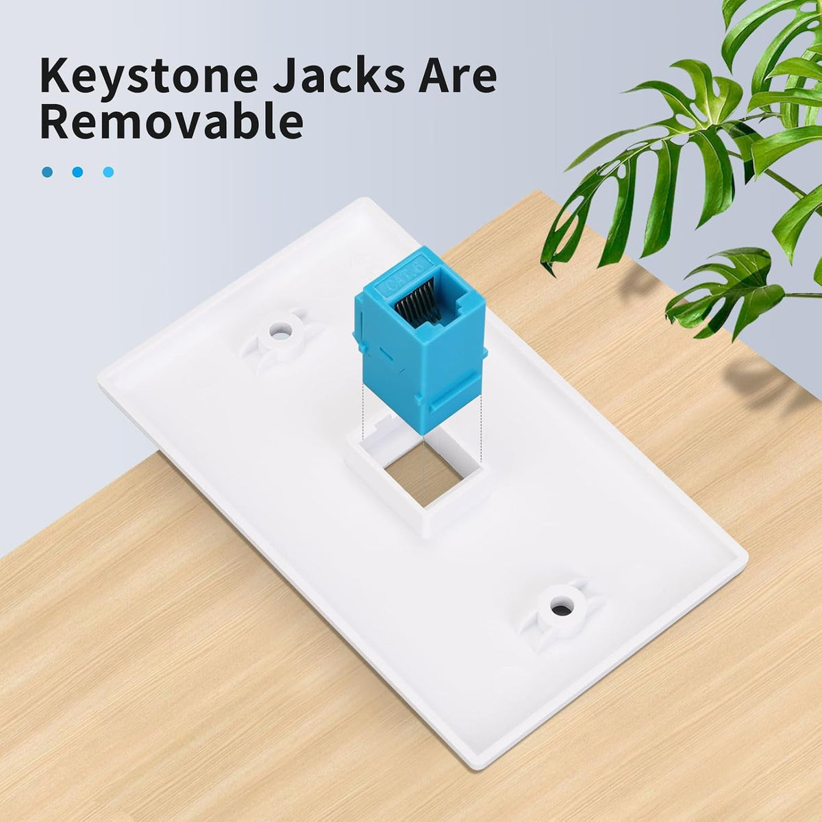 Removable RJ45 keystone coupler on one-port wall plate